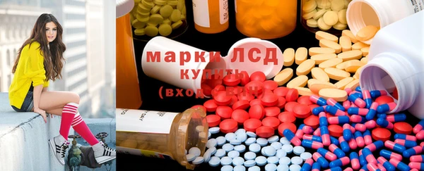 тгк Аркадак