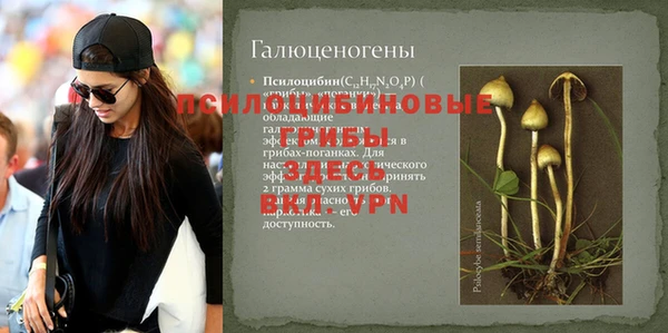 тгк Аркадак