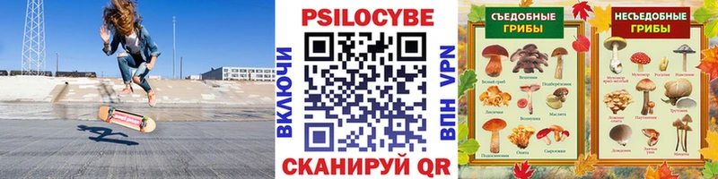 Галлюциногенные грибы Psilocybe  Унеча 